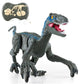 Electric Walking Dinosaur Toy for Kids